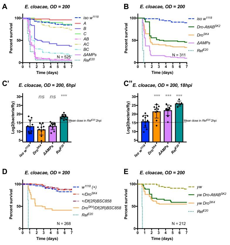 https://cdn.ncbi.nlm.nih.gov/pmc/blobs/0726/6398976/e56667403249/elife-44341-fig6.jpg