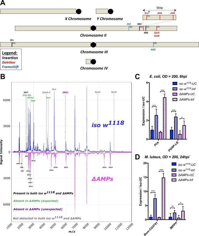 https://cdn.ncbi.nlm.nih.gov/pmc/blobs/0726/6398976/ebe889db89fd/elife-44341-fig1.jpg