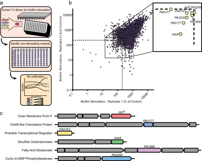 https://cdn.ncbi.nlm.nih.gov/pmc/blobs/0743/10960818/68ecdae3f9cb/41522_2024_496_Fig3_HTML.jpg