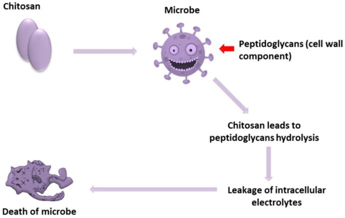 https://cdn.ncbi.nlm.nih.gov/pmc/blobs/0751/11673874/c75d14bee4f6/bioengineering-11-01278-g002.jpg