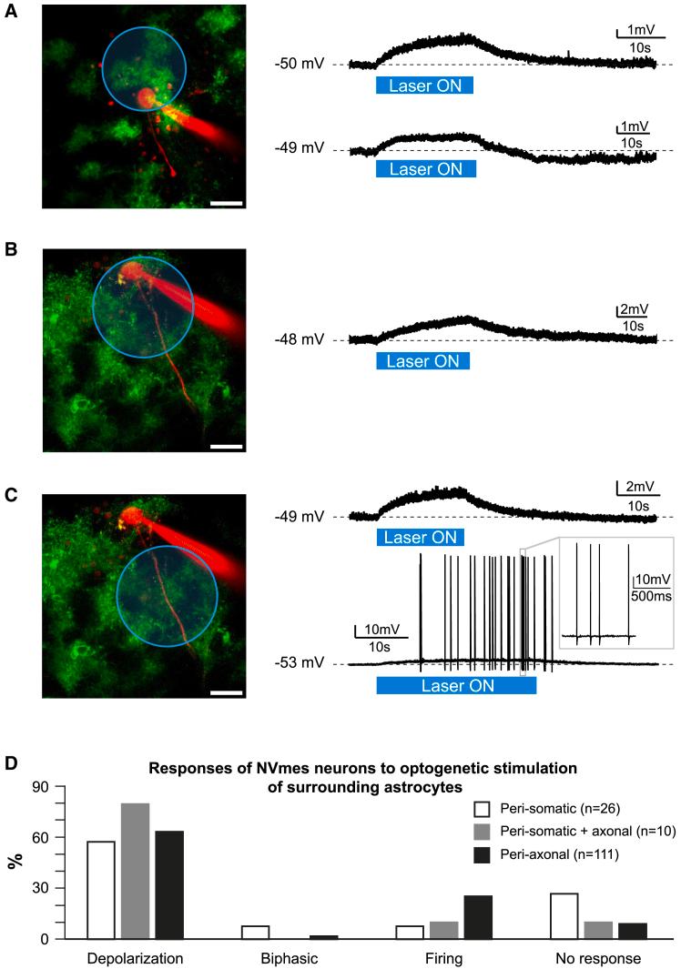 https://cdn.ncbi.nlm.nih.gov/pmc/blobs/0751/11914515/6a5f5cf4d915/gr8.jpg