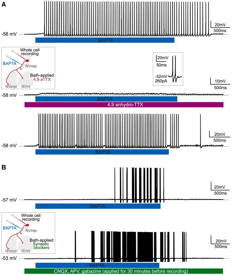 https://cdn.ncbi.nlm.nih.gov/pmc/blobs/0751/11914515/a26629901526/gr4.jpg