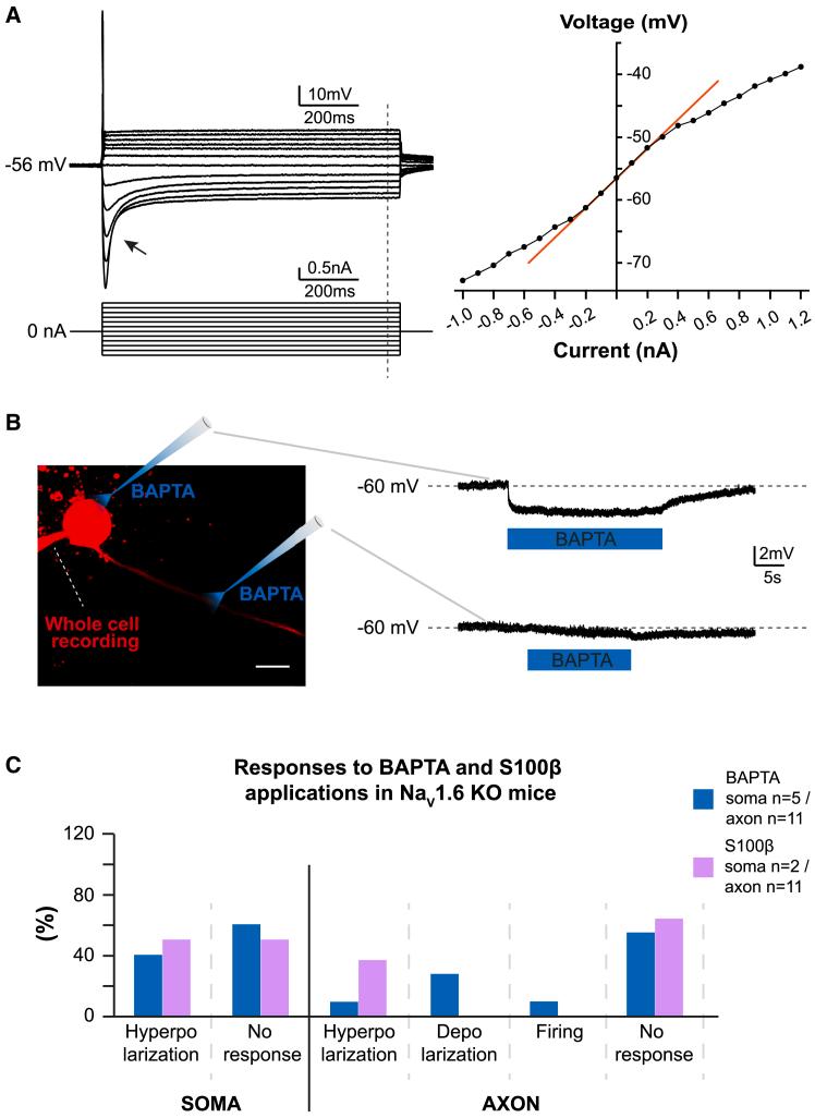 https://cdn.ncbi.nlm.nih.gov/pmc/blobs/0751/11914515/e815b3627f06/gr5.jpg