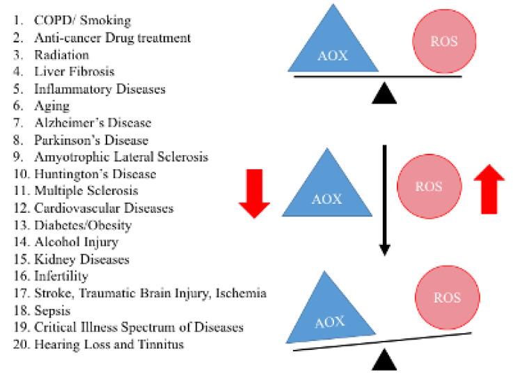 https://cdn.ncbi.nlm.nih.gov/pmc/blobs/0751/7349858/c9e792b4815f/cells-09-01345-g003.jpg
