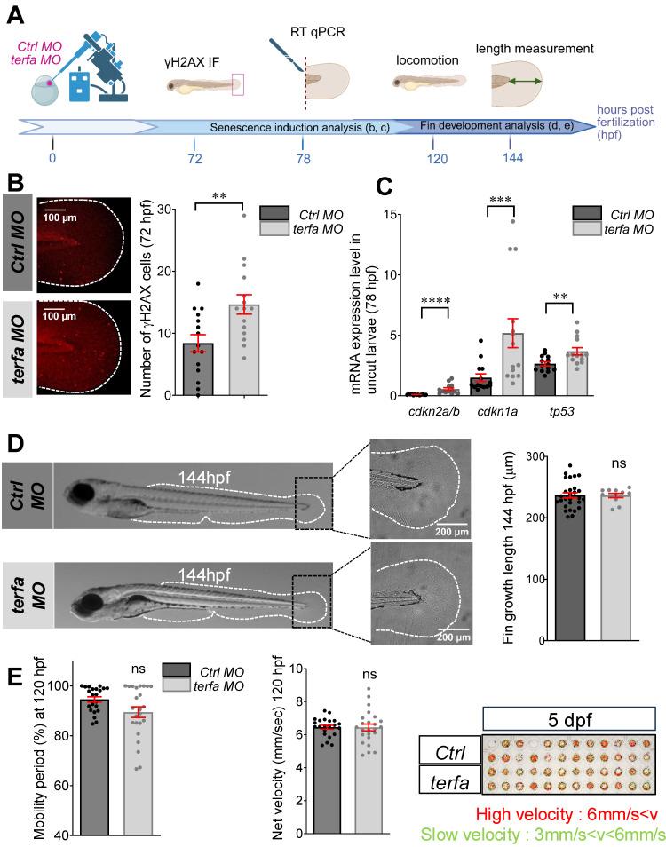 https://cdn.ncbi.nlm.nih.gov/pmc/blobs/0767/12315812/1810d19865f5/thnov15p7308g001.jpg