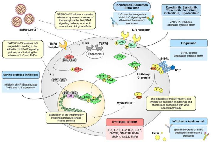 https://cdn.ncbi.nlm.nih.gov/pmc/blobs/0772/10892479/31977a2bf29a/pathogens-13-00164-g005.jpg