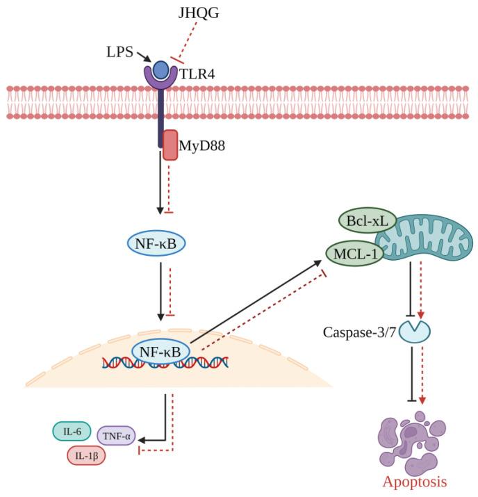 https://cdn.ncbi.nlm.nih.gov/pmc/blobs/0772/10892479/702acfa3b058/pathogens-13-00164-g006.jpg