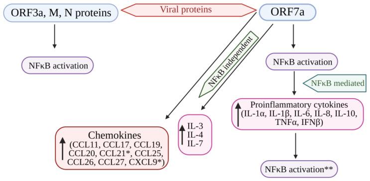 https://cdn.ncbi.nlm.nih.gov/pmc/blobs/0772/10892479/80ecf0e4cb16/pathogens-13-00164-g004.jpg
