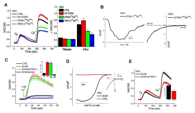https://cdn.ncbi.nlm.nih.gov/pmc/blobs/079f/3050638/763ed46315f0/pbio.1001025.g002.jpg