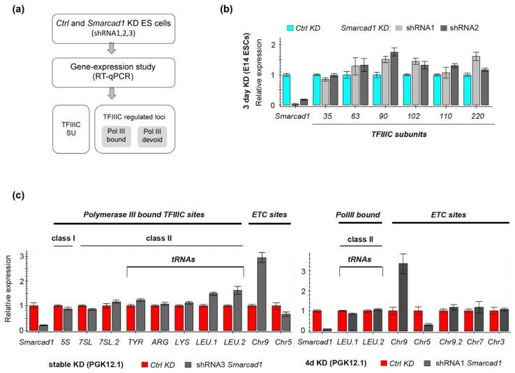https://cdn.ncbi.nlm.nih.gov/pmc/blobs/07a2/10530723/181d25461424/genes-14-01793-g006.jpg