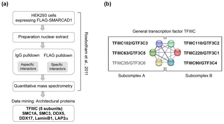 https://cdn.ncbi.nlm.nih.gov/pmc/blobs/07a2/10530723/7e12dce593ce/genes-14-01793-g001.jpg