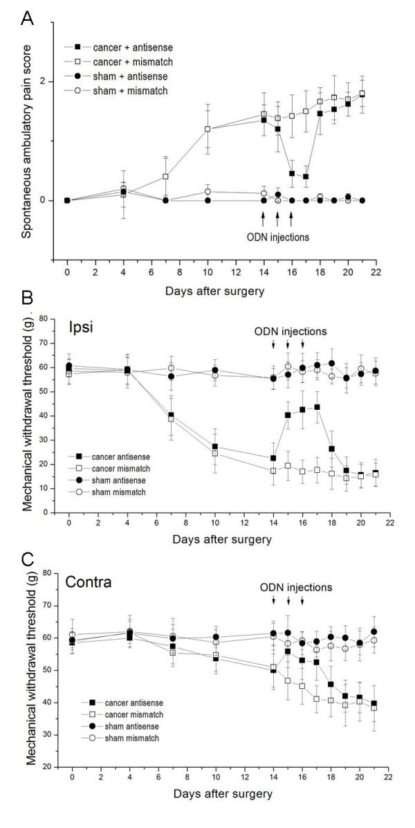 https://cdn.ncbi.nlm.nih.gov/pmc/blobs/07a5/2894792/418a7575c5ca/1471-2407-10-216-6.jpg