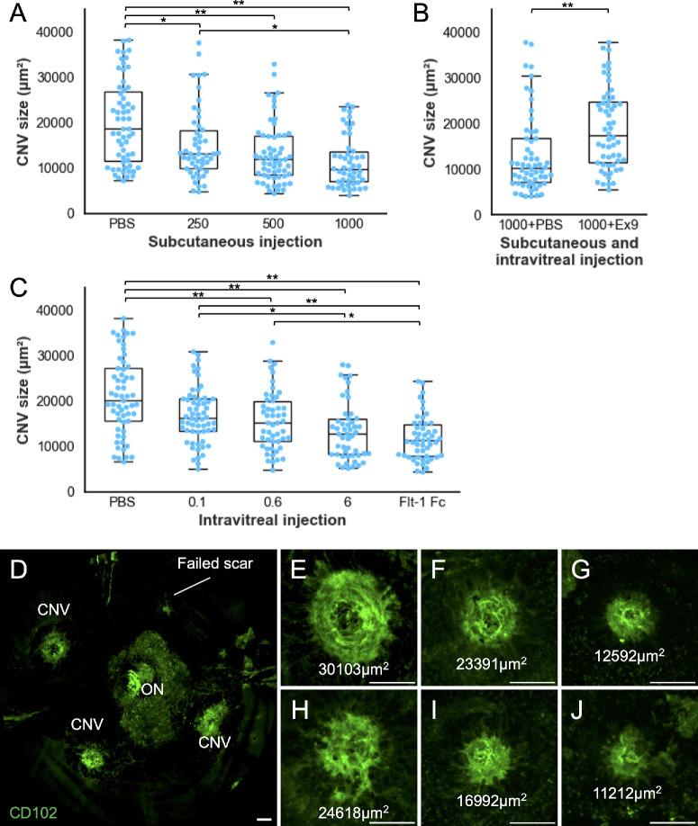 https://cdn.ncbi.nlm.nih.gov/pmc/blobs/07ae/12061060/9cc71de5c65c/iovs-66-5-15-f004.jpg