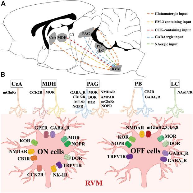 https://cdn.ncbi.nlm.nih.gov/pmc/blobs/07b2/10157642/7fa22faddc78/fphar-14-1159753-g002.jpg