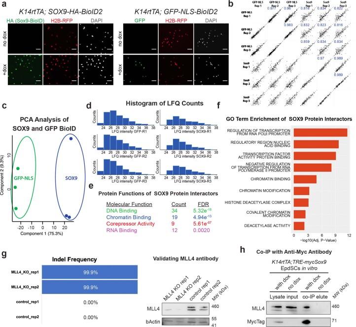 https://cdn.ncbi.nlm.nih.gov/pmc/blobs/07c5/10415178/b0c04002a0ab/41556_2023_1184_Fig11_ESM.jpg
