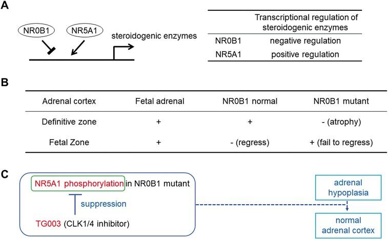 https://cdn.ncbi.nlm.nih.gov/pmc/blobs/07d4/9113462/1b7e6ff5bd67/bvac068_fig4.jpg