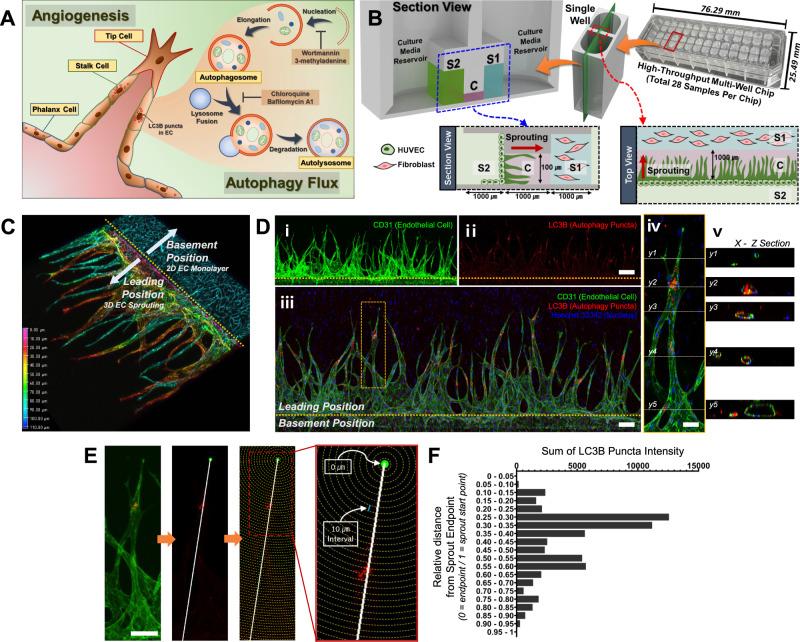 https://cdn.ncbi.nlm.nih.gov/pmc/blobs/07f2/10764361/dec9a69f5b27/41467_2023_44427_Fig1_HTML.jpg
