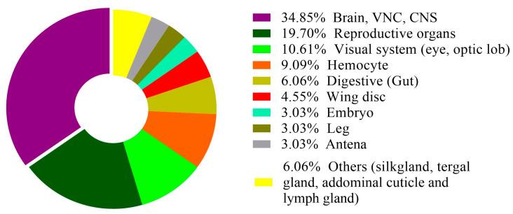 https://cdn.ncbi.nlm.nih.gov/pmc/blobs/07ff/10777908/709a8d185118/cells-13-00091-g003.jpg