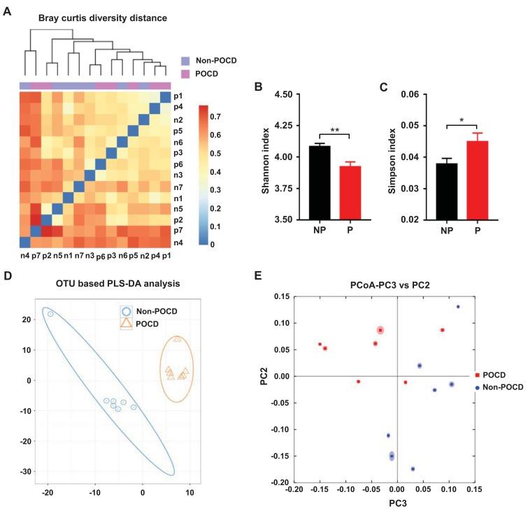 https://cdn.ncbi.nlm.nih.gov/pmc/blobs/080d/6461176/46fe9a1542c9/aging-11-101871-g002.jpg