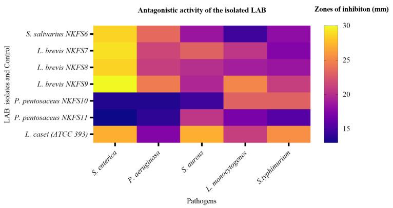 https://cdn.ncbi.nlm.nih.gov/pmc/blobs/085c/12195246/53a61ddbc67b/microorganisms-13-01231-g004.jpg