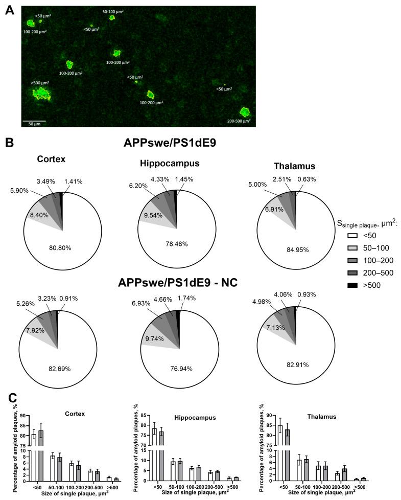 https://cdn.ncbi.nlm.nih.gov/pmc/blobs/085f/12384073/3b98d205fff6/cells-14-01293-g003.jpg