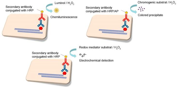 https://cdn.ncbi.nlm.nih.gov/pmc/blobs/0886/6427207/89dec3a347b5/sensors-19-01100-g006.jpg