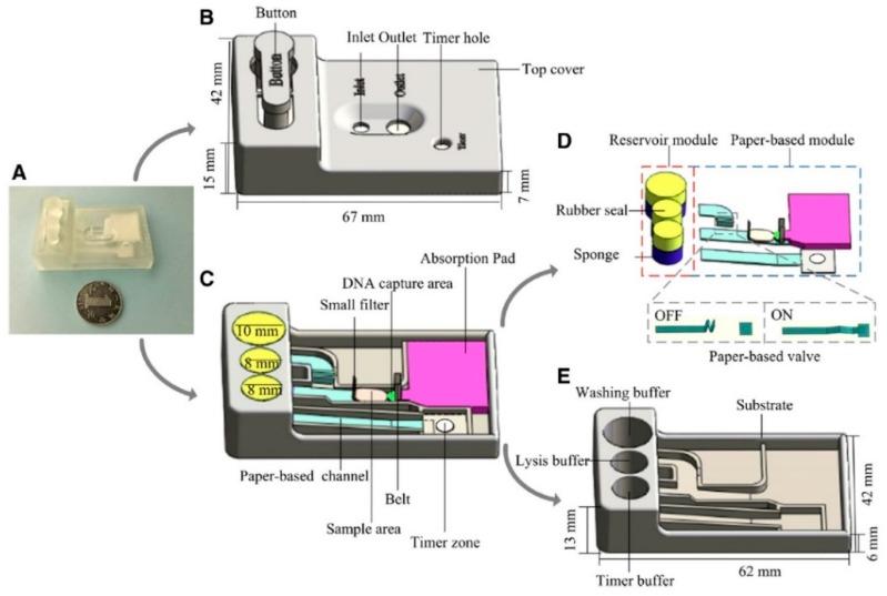 https://cdn.ncbi.nlm.nih.gov/pmc/blobs/0886/6427207/8b0da2dfd1a9/sensors-19-01100-g004.jpg