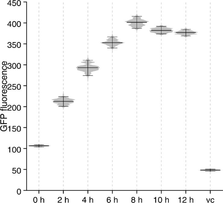 https://cdn.ncbi.nlm.nih.gov/pmc/blobs/088a/6615863/1fd5688ea382/elife-45084-fig1-figsupp4.jpg