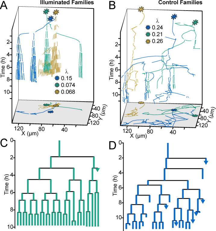 https://cdn.ncbi.nlm.nih.gov/pmc/blobs/088a/6615863/8aaef480d162/elife-45084-fig5.jpg