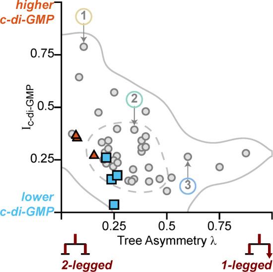 https://cdn.ncbi.nlm.nih.gov/pmc/blobs/088a/6615863/d33e3a70a795/elife-45084-fig5-figsupp3.jpg