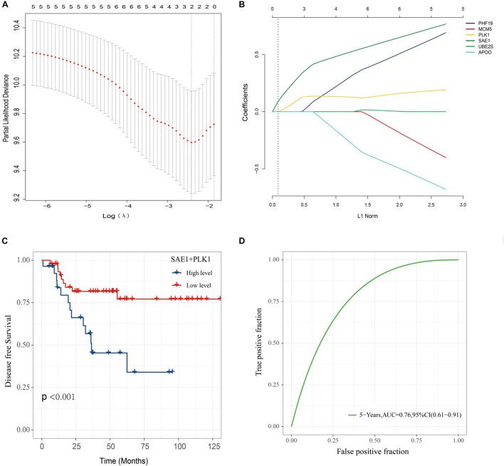 https://cdn.ncbi.nlm.nih.gov/pmc/blobs/088a/8490707/68cdbfcdc071/fcell-09-729211-g009.jpg