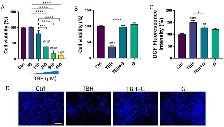 https://cdn.ncbi.nlm.nih.gov/pmc/blobs/08a1/10886616/1b5e0c9c3757/cells-13-00355-g002.jpg