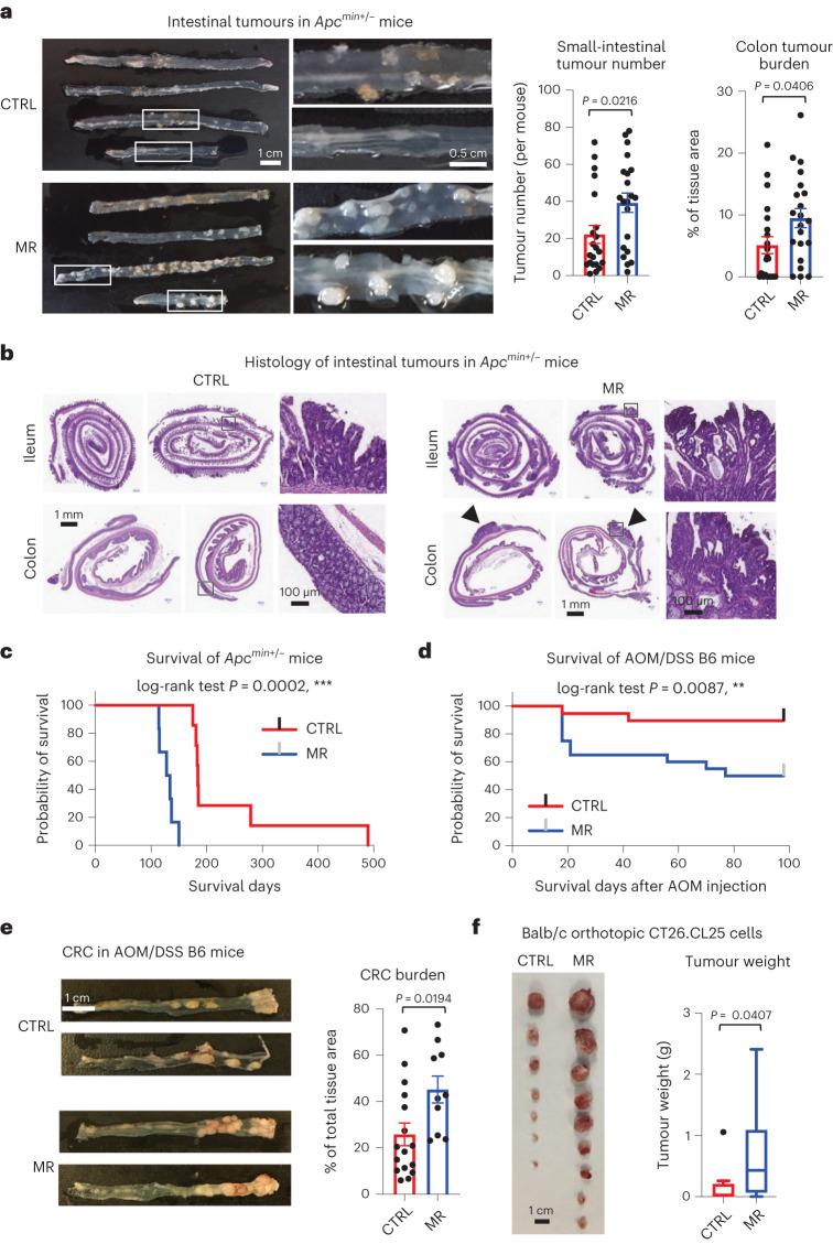 https://cdn.ncbi.nlm.nih.gov/pmc/blobs/08a6/10513933/cb1d099aae83/42255_2023_854_Fig1_HTML.jpg