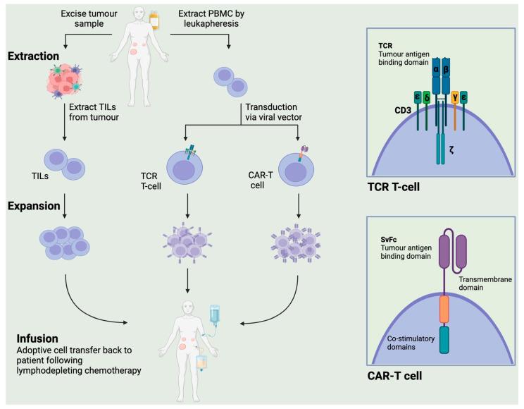 https://cdn.ncbi.nlm.nih.gov/pmc/blobs/08a7/10571827/0c96ccef70c9/cancers-15-04814-g001.jpg