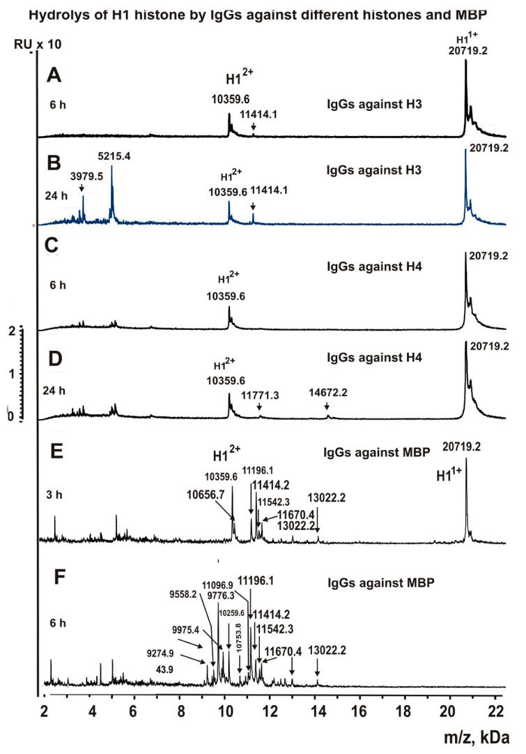 https://cdn.ncbi.nlm.nih.gov/pmc/blobs/08b7/8392522/d8874dc6fa70/biomolecules-11-01140-g003.jpg