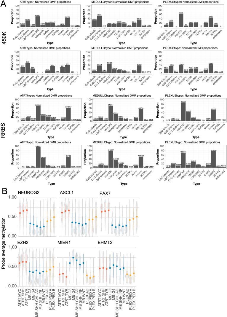 https://cdn.ncbi.nlm.nih.gov/pmc/blobs/08d8/10948937/271c878aa110/LSA-2023-02088_FigS3.jpg