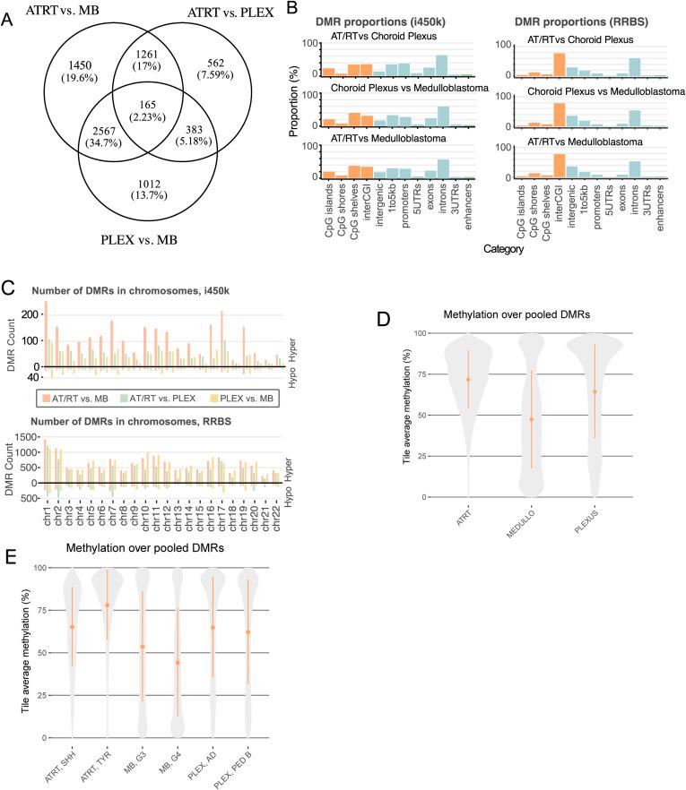 https://cdn.ncbi.nlm.nih.gov/pmc/blobs/08d8/10948937/3e5116cc5585/LSA-2023-02088_FigS1.jpg