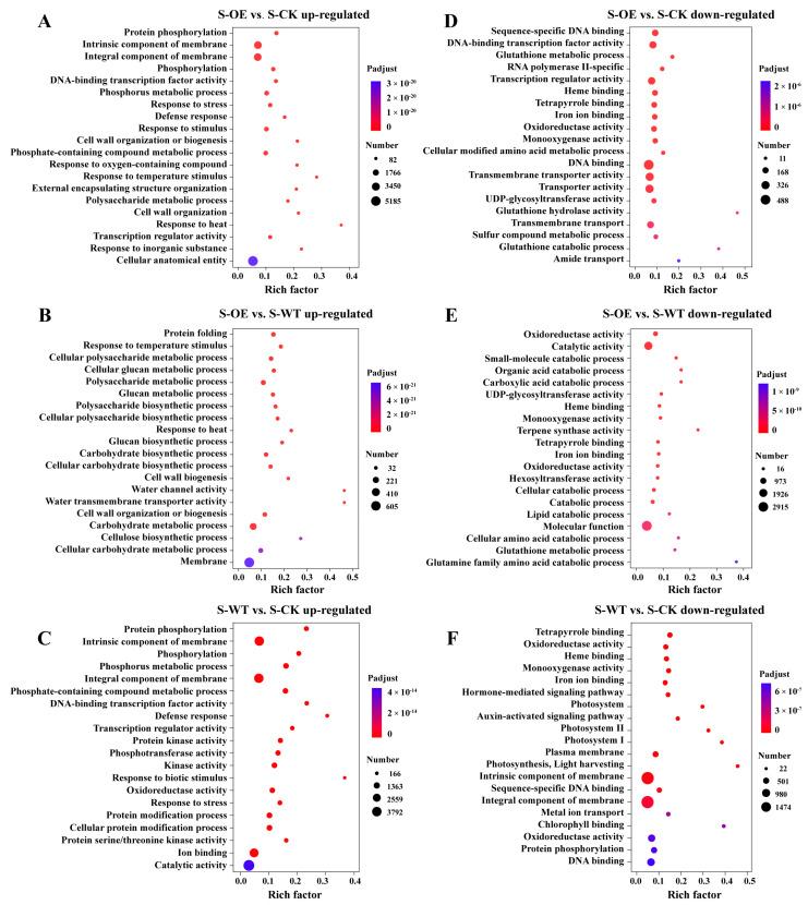https://cdn.ncbi.nlm.nih.gov/pmc/blobs/08f1/12300774/0e341cd490ed/microorganisms-13-01480-g005.jpg