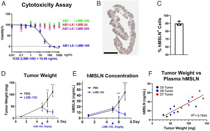 https://cdn.ncbi.nlm.nih.gov/pmc/blobs/090d/9860319/43829d39f776/pnas.2214928119fig01.jpg