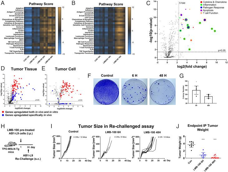 https://cdn.ncbi.nlm.nih.gov/pmc/blobs/090d/9860319/e3d7b271413a/pnas.2214928119fig03.jpg