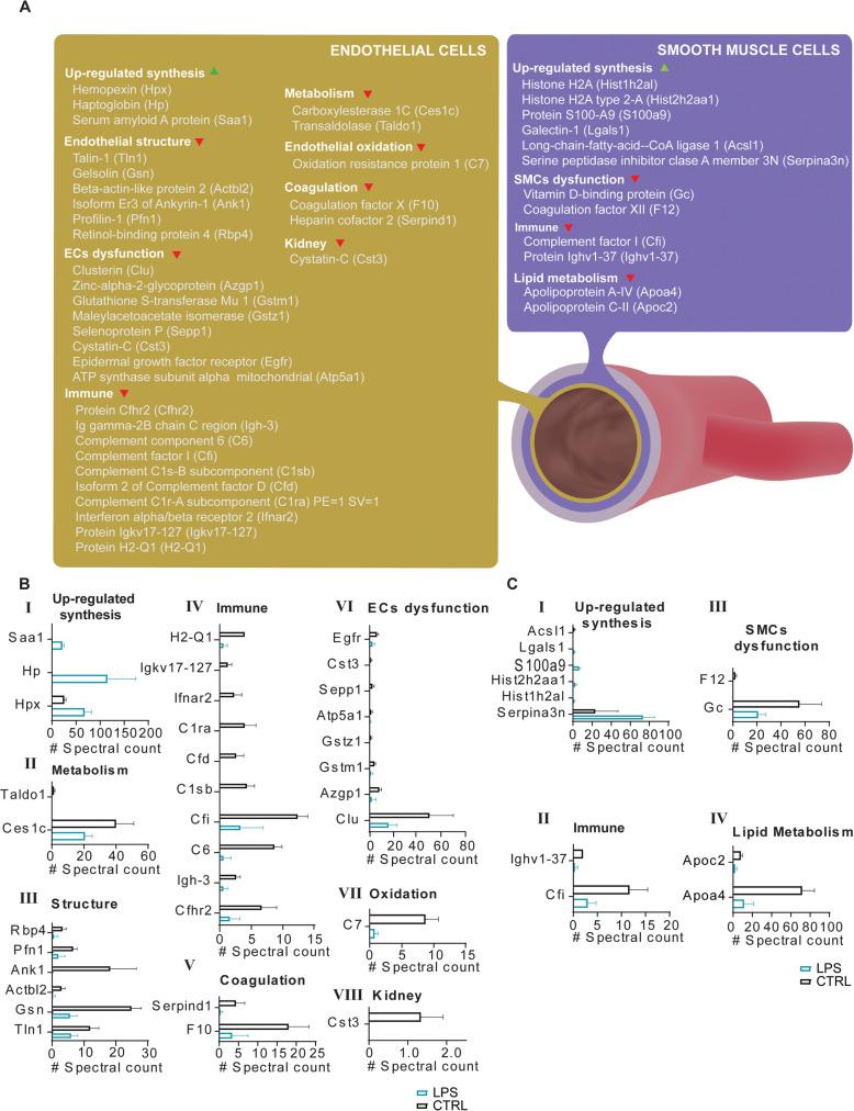 https://cdn.ncbi.nlm.nih.gov/pmc/blobs/091b/7687804/b41e61016af5/12915_2020_914_Fig4_HTML.jpg