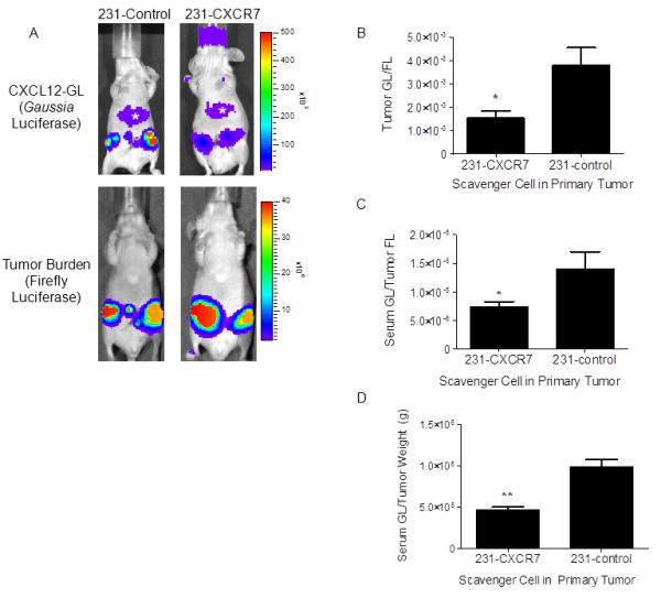 https://cdn.ncbi.nlm.nih.gov/pmc/blobs/0938/3337948/d3c6bbaa9874/nihms-343998-f0002.jpg