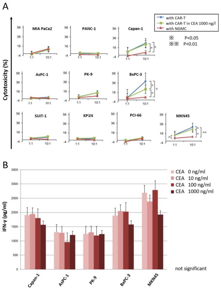 https://cdn.ncbi.nlm.nih.gov/pmc/blobs/0938/9913141/6453041d80f9/cancers-15-00601-g004.jpg