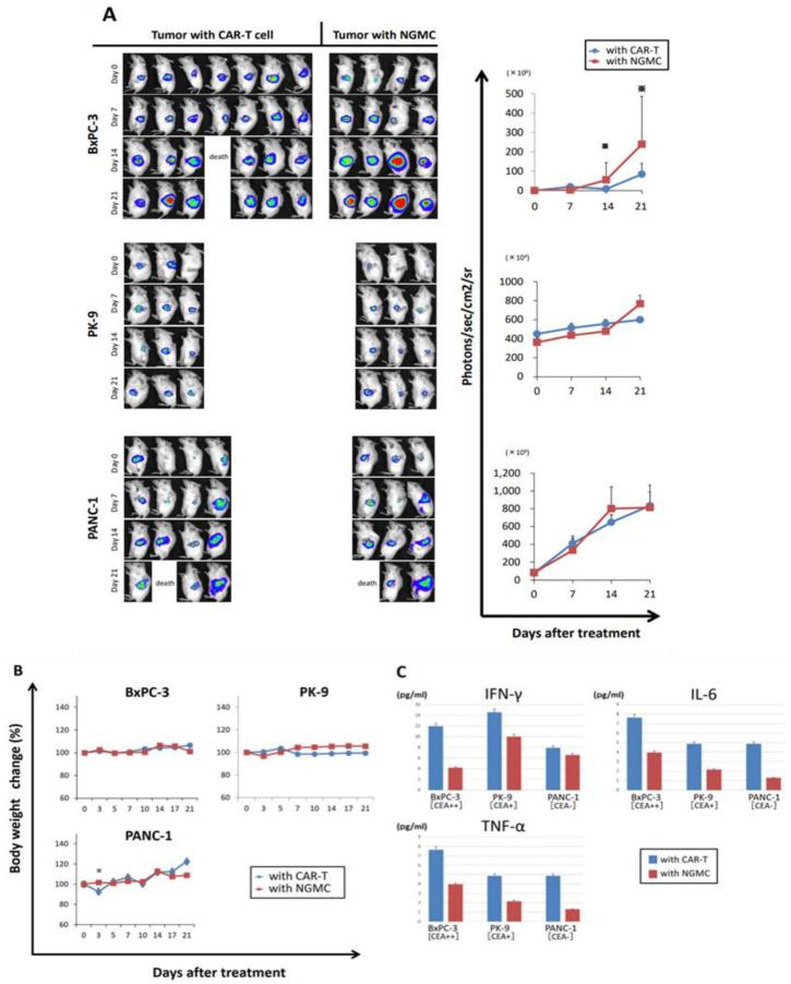 https://cdn.ncbi.nlm.nih.gov/pmc/blobs/0938/9913141/671b889e1952/cancers-15-00601-g005.jpg