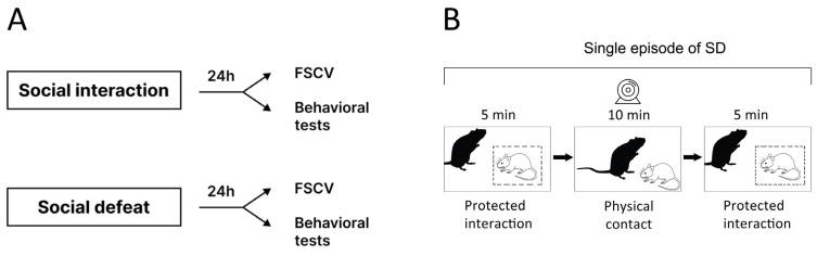 https://cdn.ncbi.nlm.nih.gov/pmc/blobs/0949/11505701/76c4a11b8ba6/biomolecules-14-01280-g001.jpg
