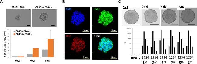 https://cdn.ncbi.nlm.nih.gov/pmc/blobs/0970/4941329/672c4992dac1/oncotarget-07-16479-g004.jpg