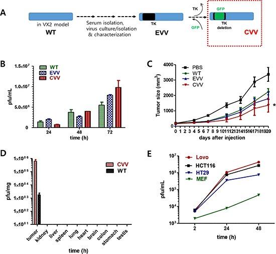 https://cdn.ncbi.nlm.nih.gov/pmc/blobs/0970/4941329/7f74e82b09e4/oncotarget-07-16479-g001.jpg