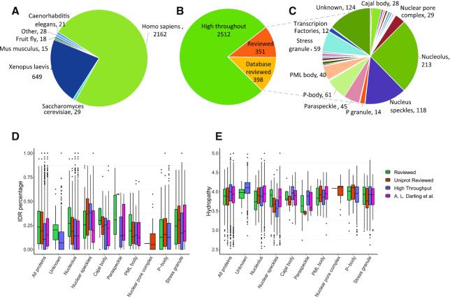 https://cdn.ncbi.nlm.nih.gov/pmc/blobs/097c/6943039/9df3e0aa3bc3/gkz847fig2.jpg