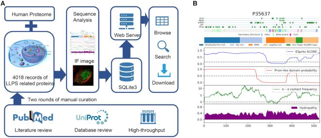 https://cdn.ncbi.nlm.nih.gov/pmc/blobs/097c/6943039/f7b4f0696808/gkz847fig1.jpg