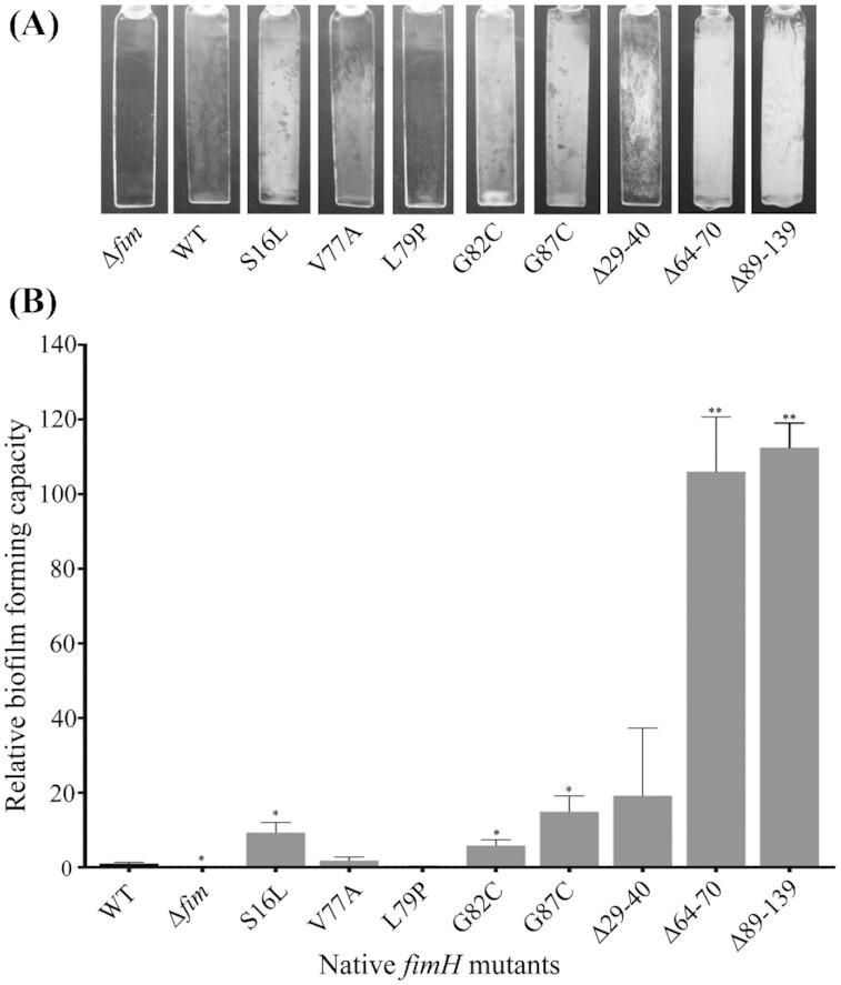 https://cdn.ncbi.nlm.nih.gov/pmc/blobs/099d/10117834/487a1877bcf6/uqac001fig3.jpg